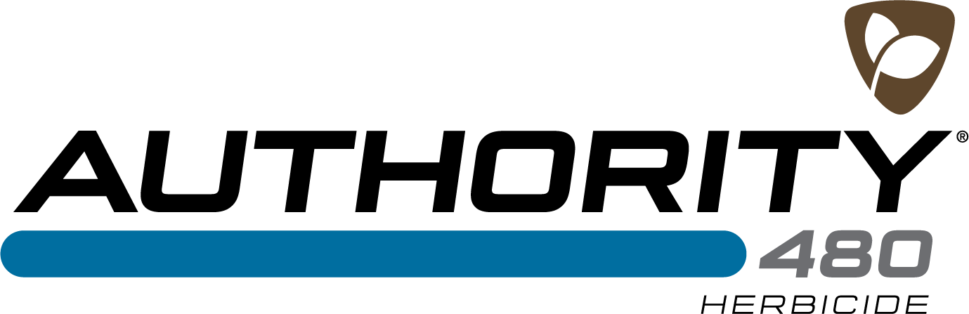 Authority 480 logo