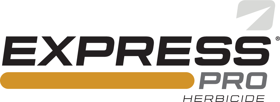 Express PRO logo