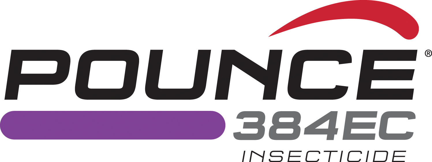 pounce logo