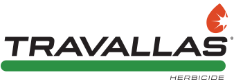 Travallas logo