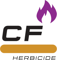 CF