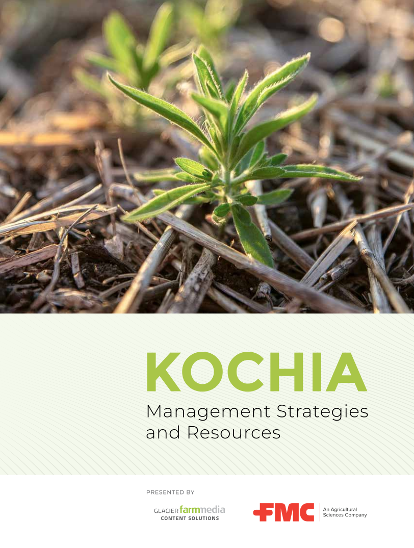 Kochia Management Strategies and Resources document title page