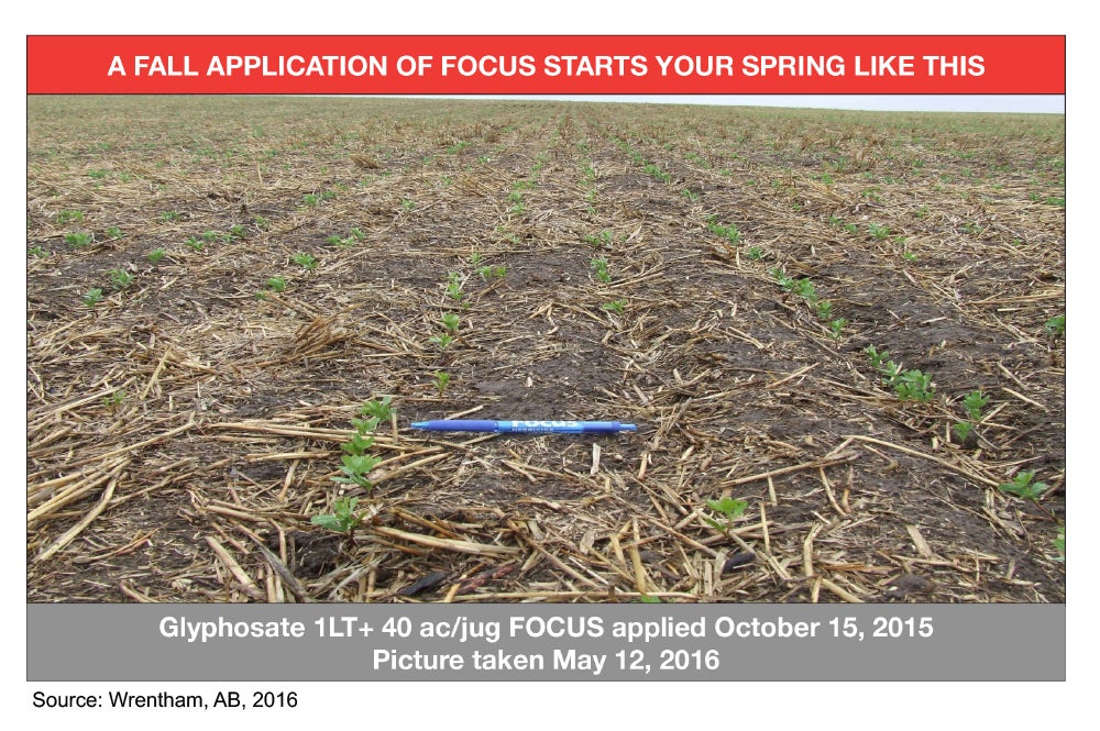 Fall Herbicide Glyphosate Focus