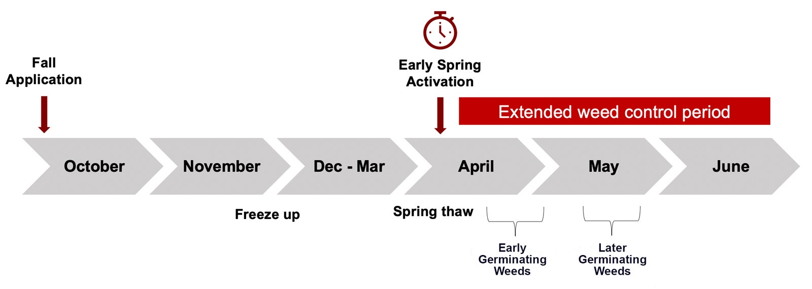 Focus Herbicide Fall Timing