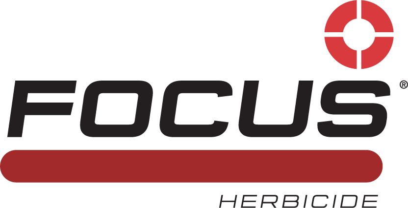 Focus Herbicide