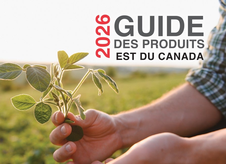 French guide header image