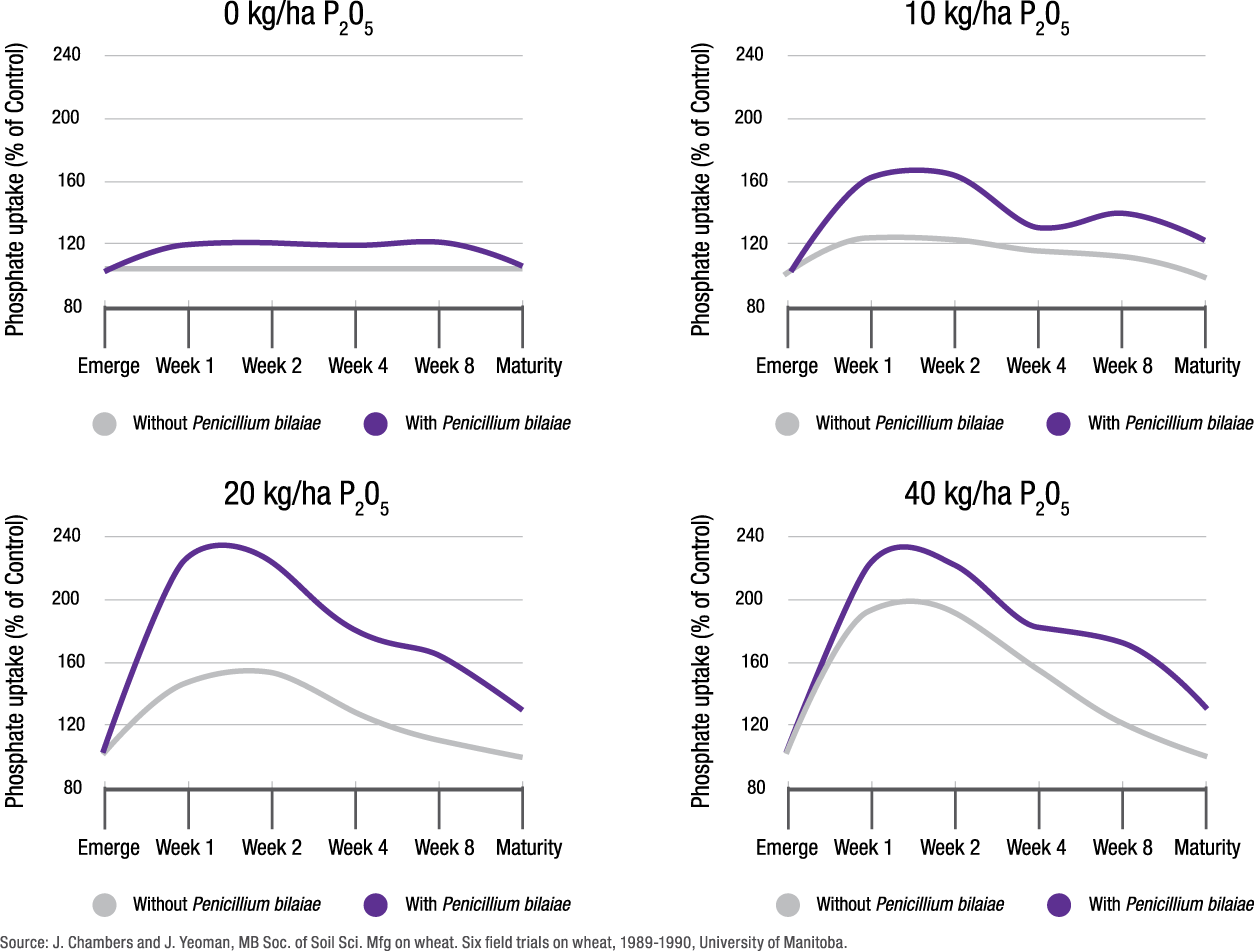 Phosphate Availability Chart