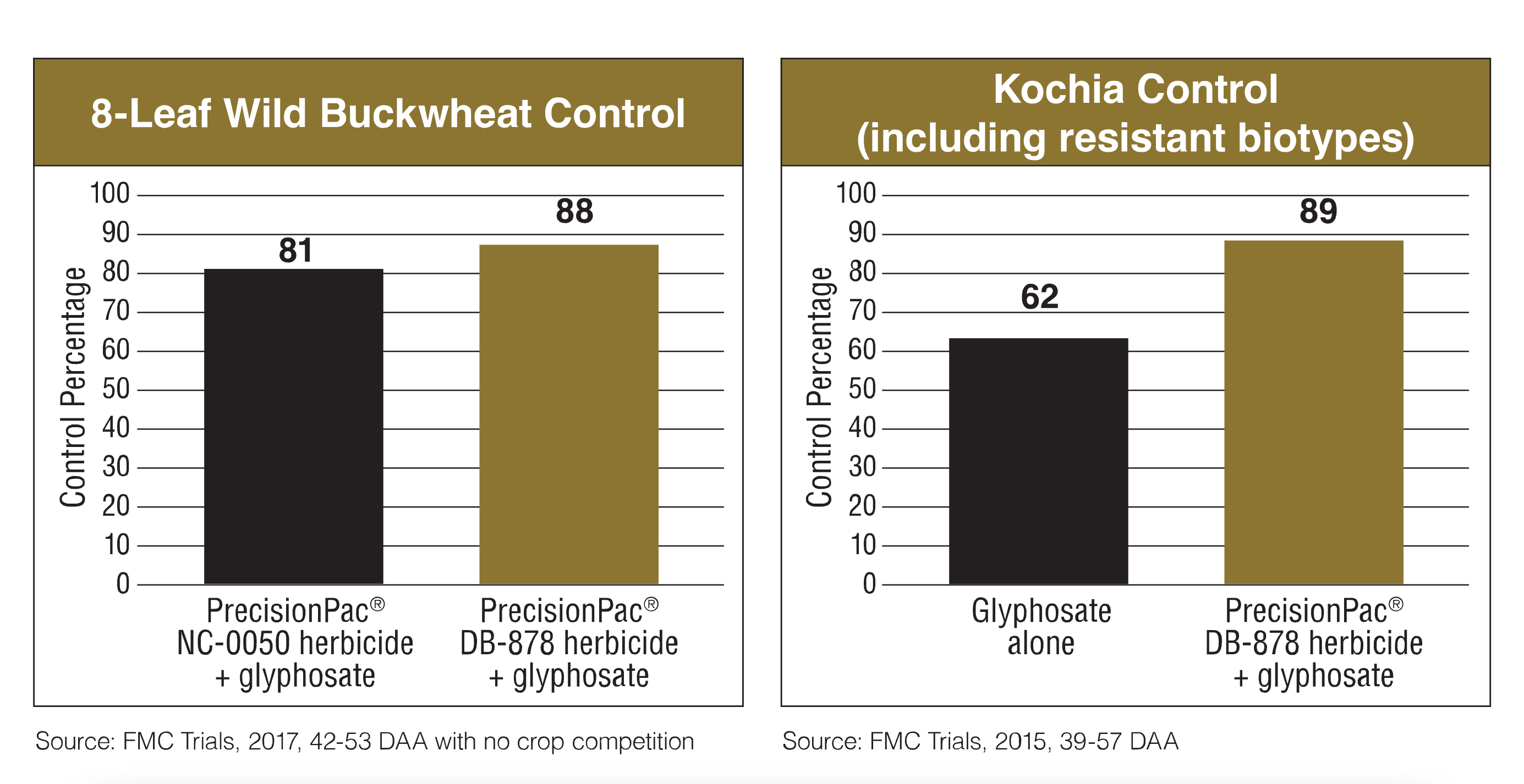 Buckwheat and kochia comparisons