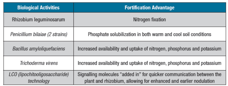 Biological activities and fortification advantage