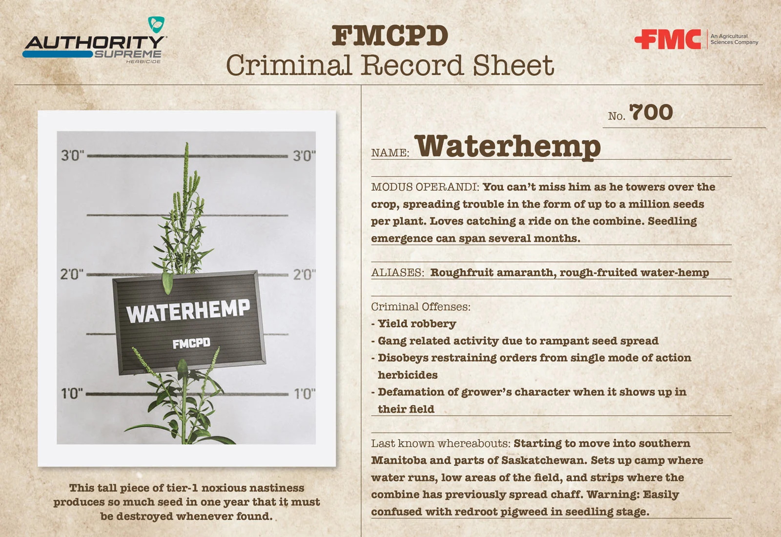 Waterhemp - Authority Supreme Rap Sheet