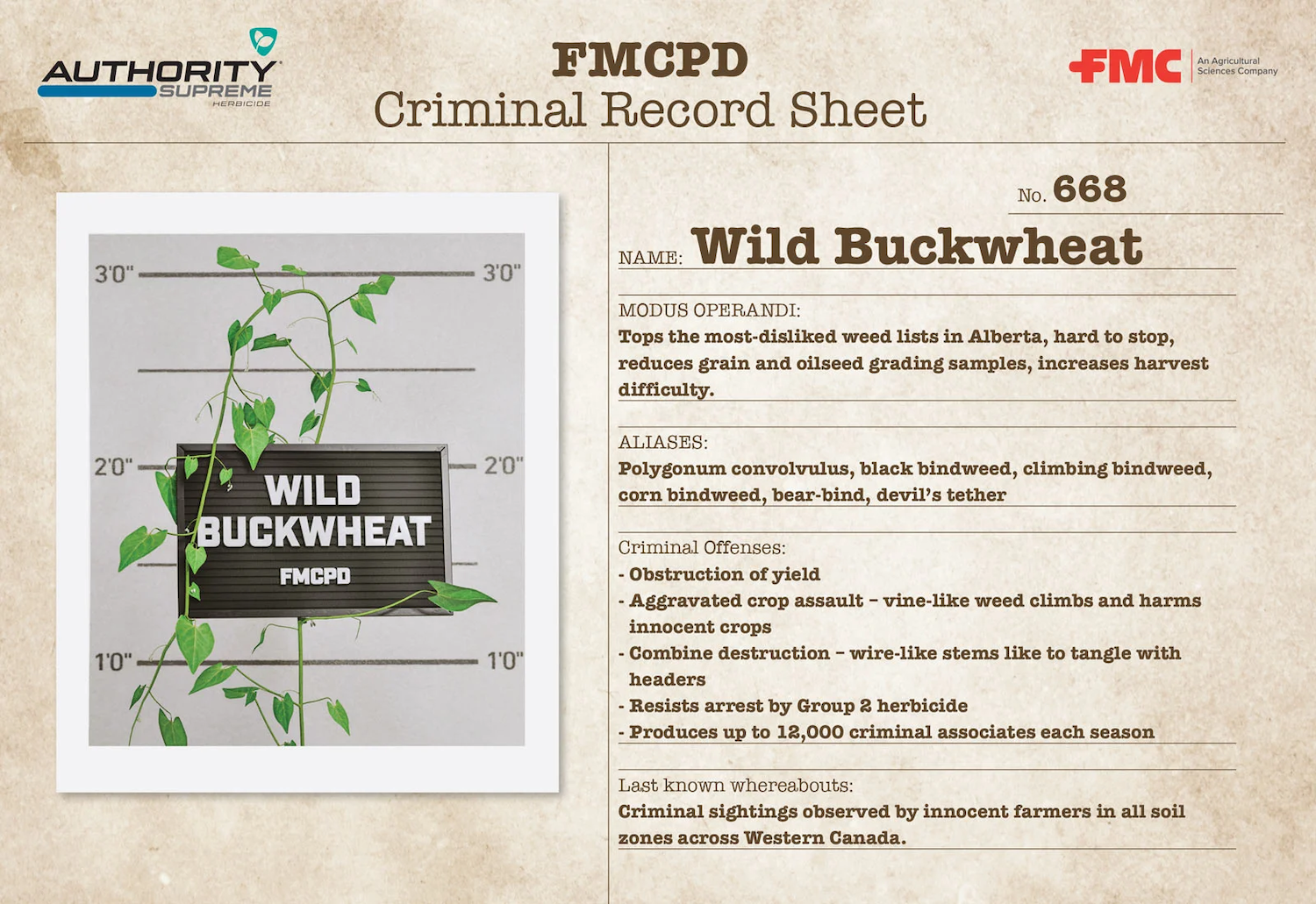 Wild Buckwheat Authority Supreme Rap Sheet