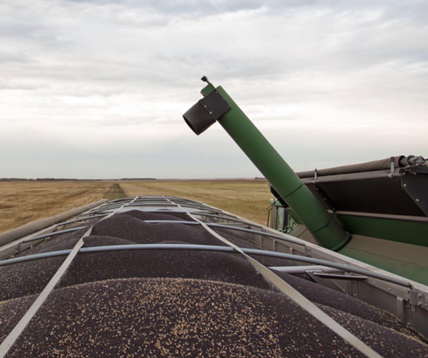 Benefits of Fall Herbicides