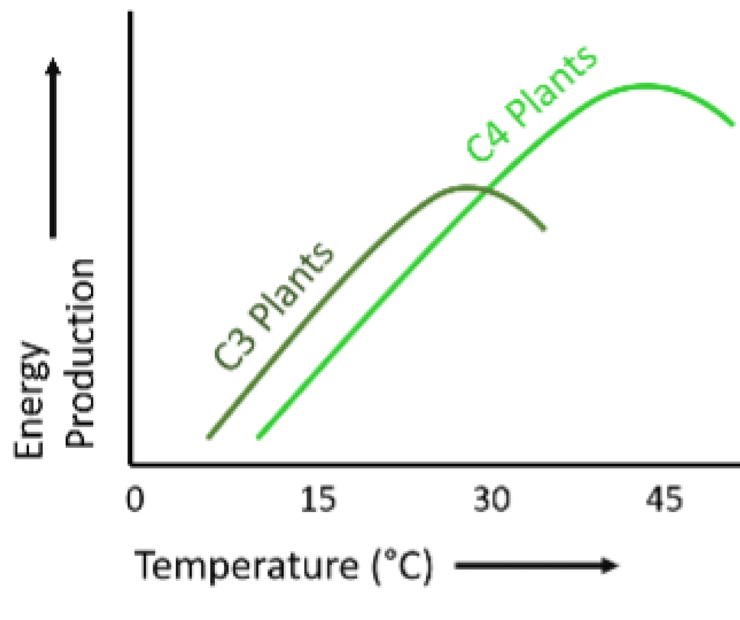 Soybean Energy Production