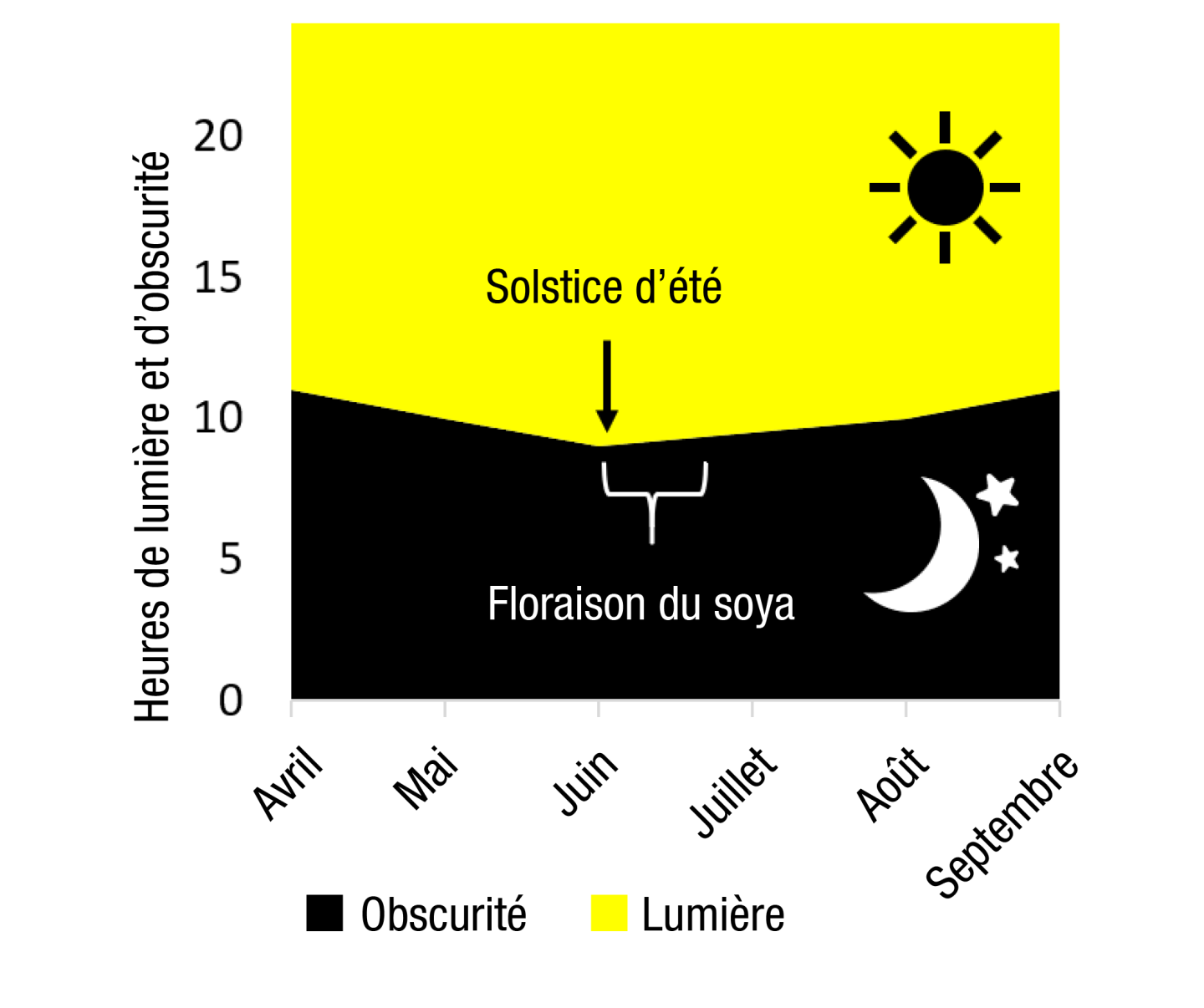 Solstice graph