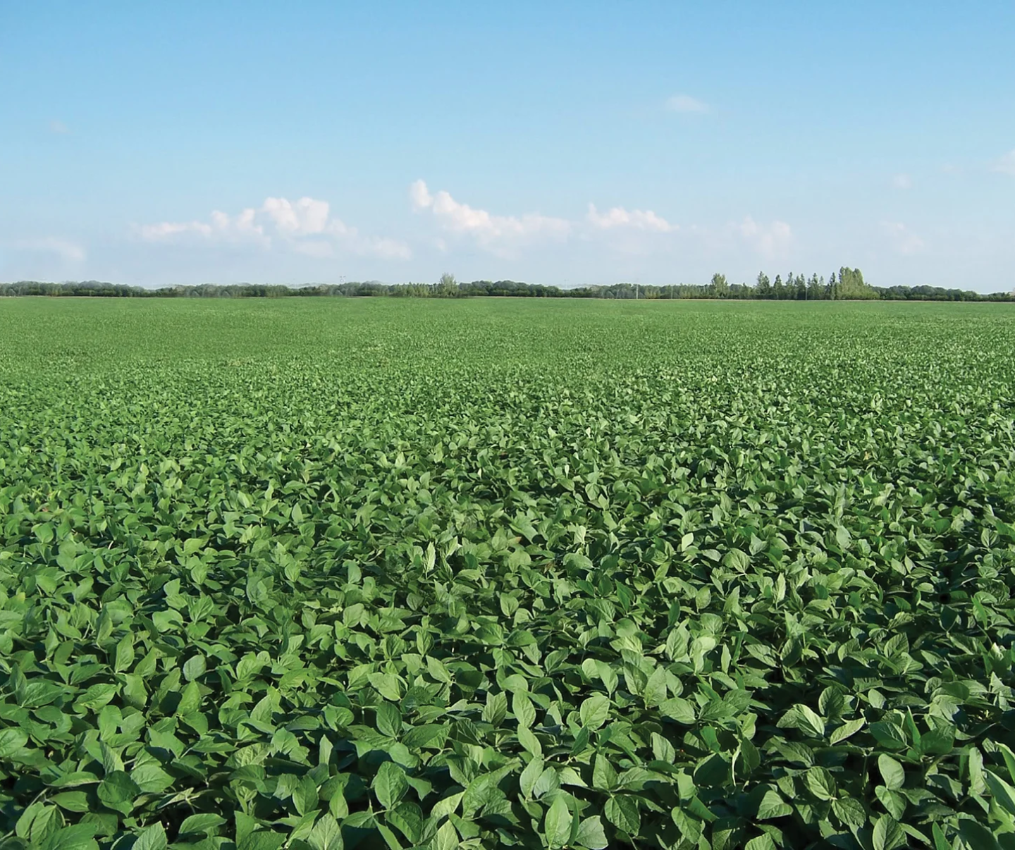 Timing is everything