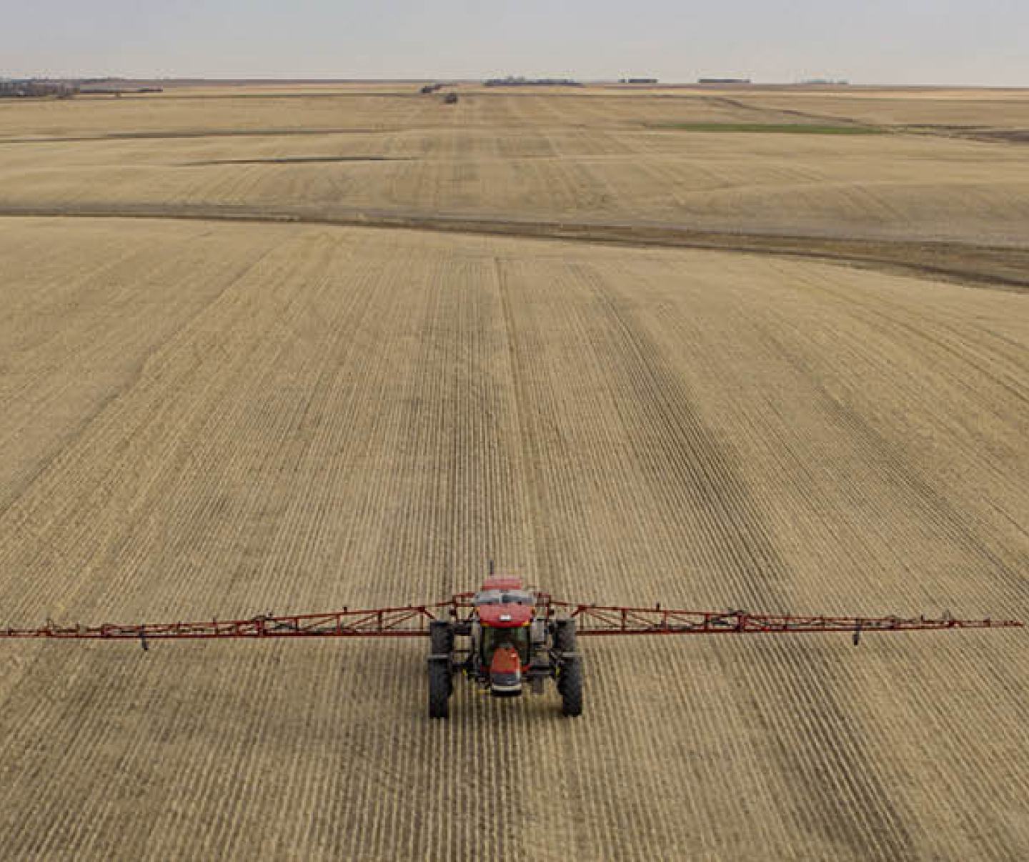 Intruvix®II Fall Herbicide