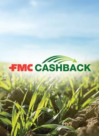 FMC Cashback
