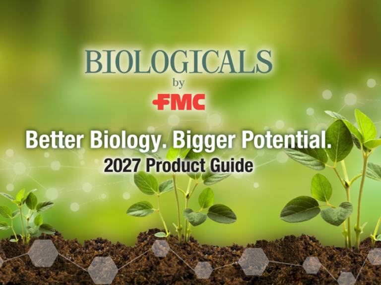 Three healthy growing plants