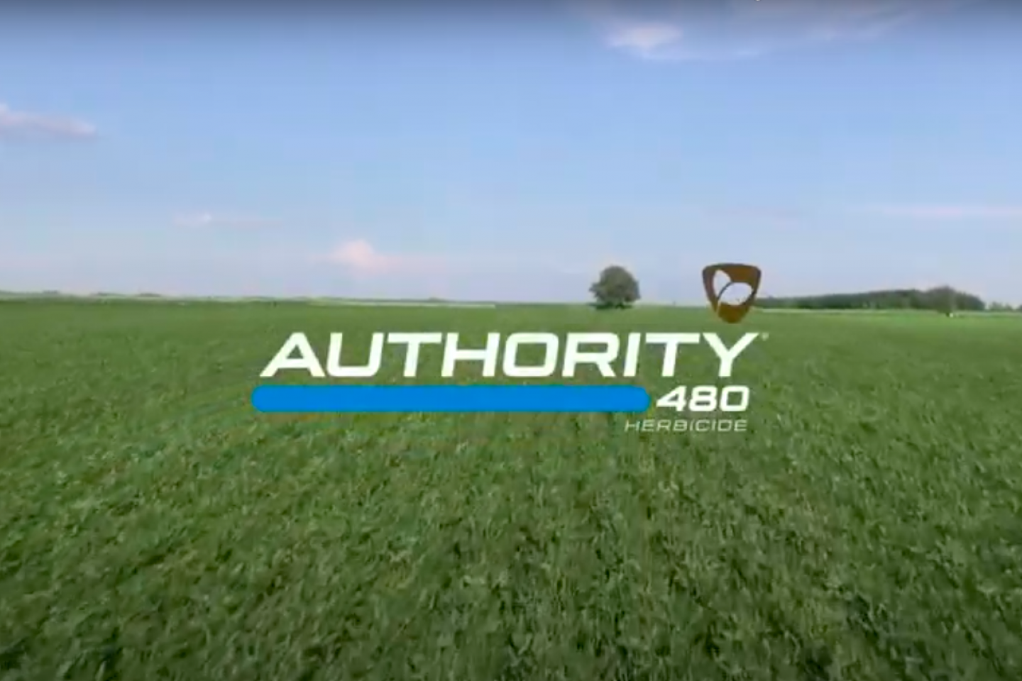 authority 480