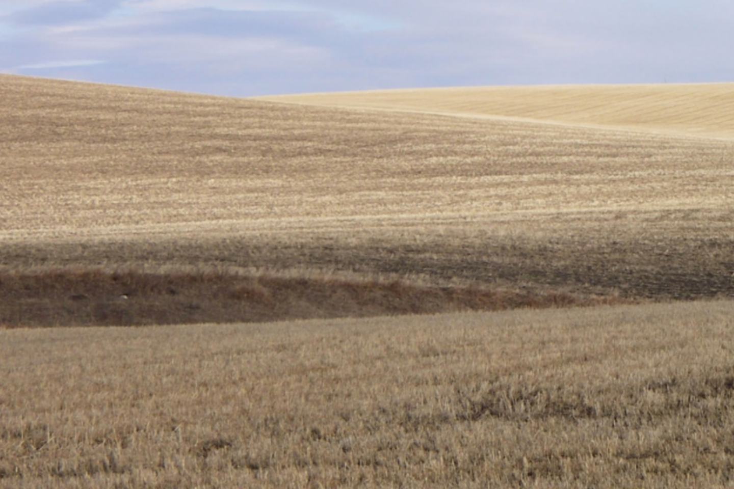 Herbicide layering