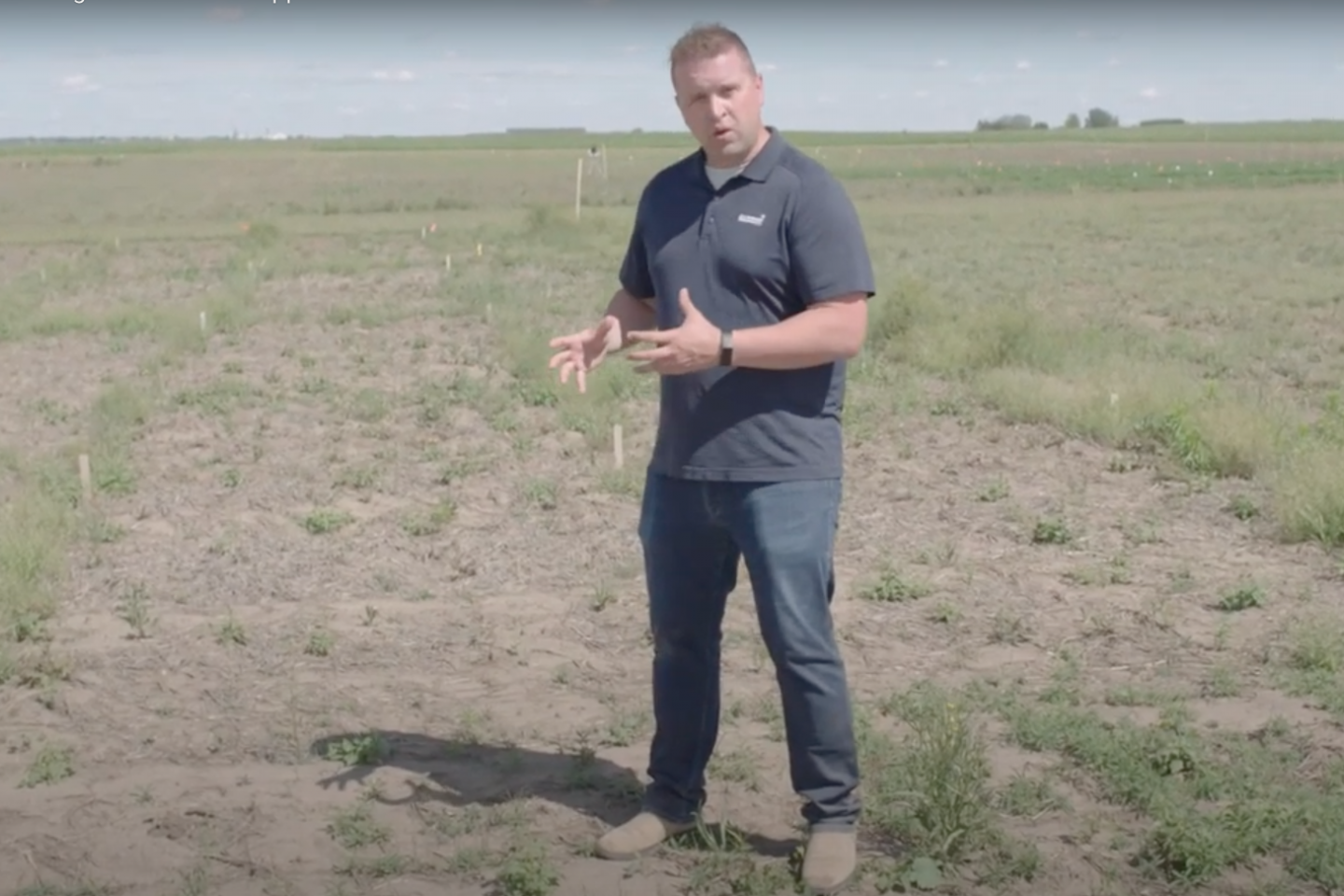 Focus Herbicide has now been registered for fall usage in front of lentils, spring wheat, winter wheat, corn and soybeans. Set yourself up for success in the spring by controlling the nutrient-stealing weeds this fall. Watch FMC Product Manager Jordan Brisebois showcase the plot demo from our research trials in Hanley, SK.