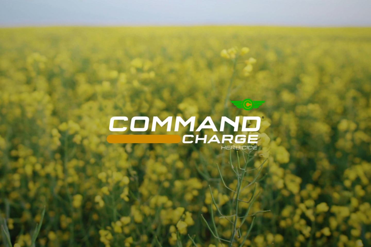 Command Charge Herbicide