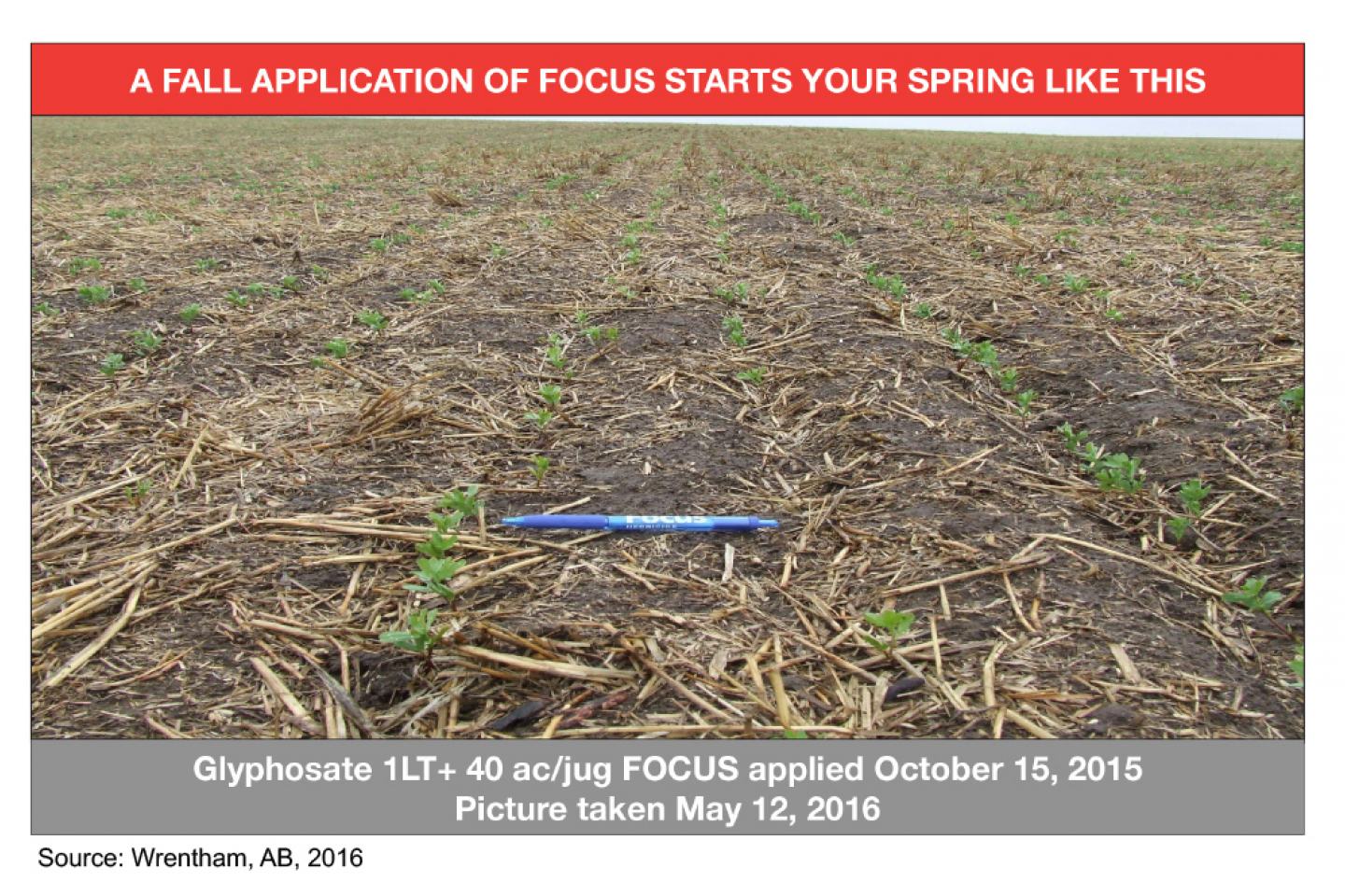 Fall Focus Herbicides