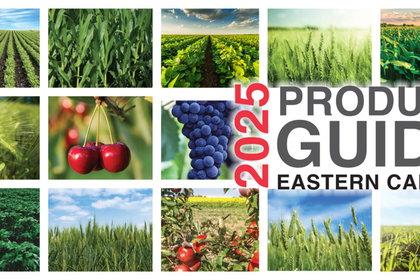 East product guide