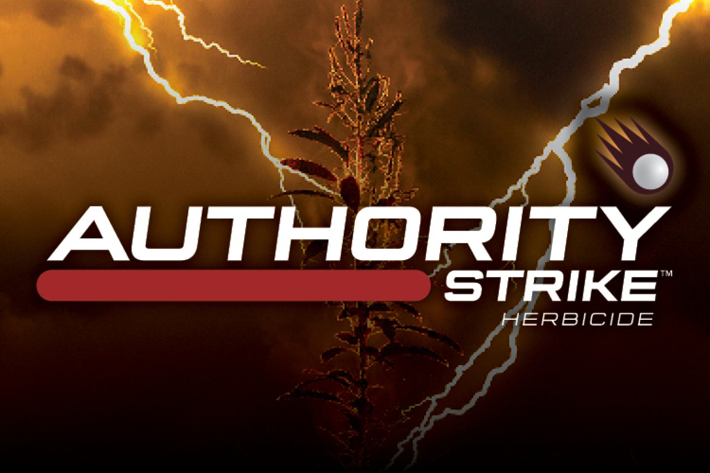 Authority Strike