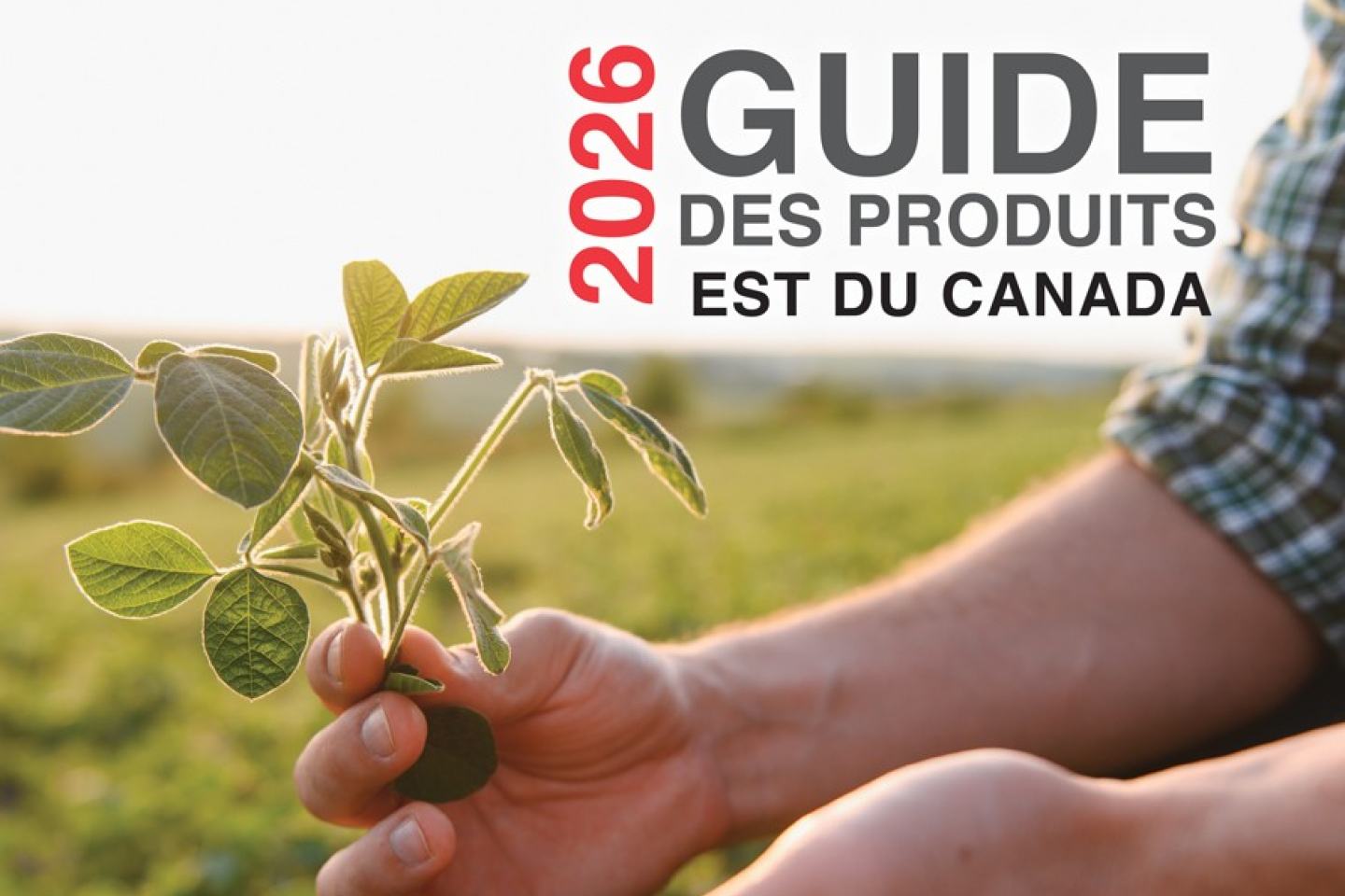 french guide header image