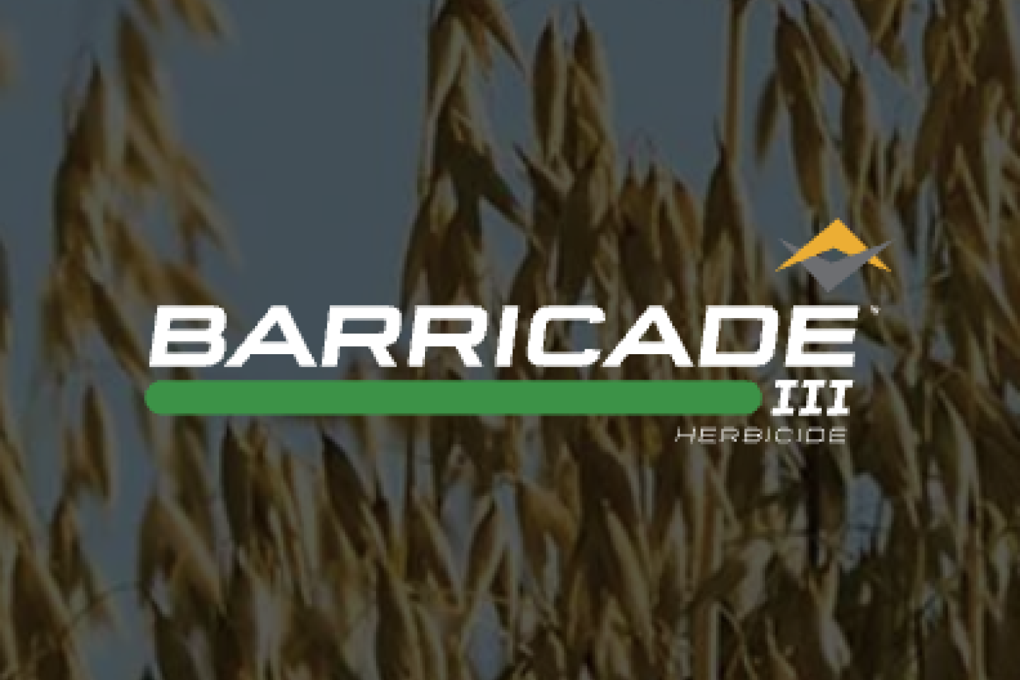 Barricade® III herbicide