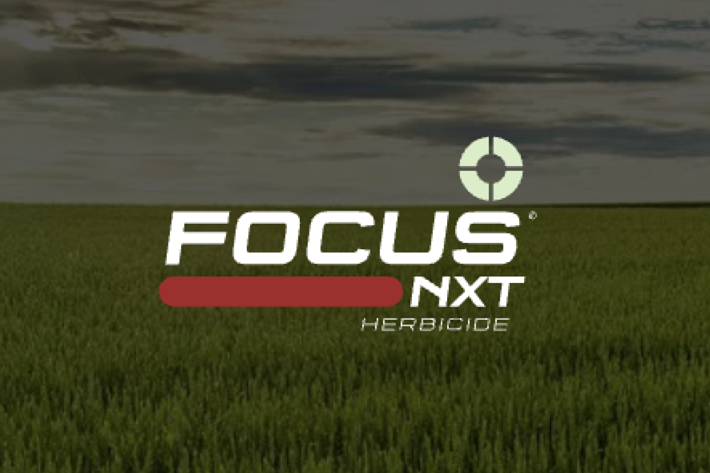 Focus® NXT herbicide