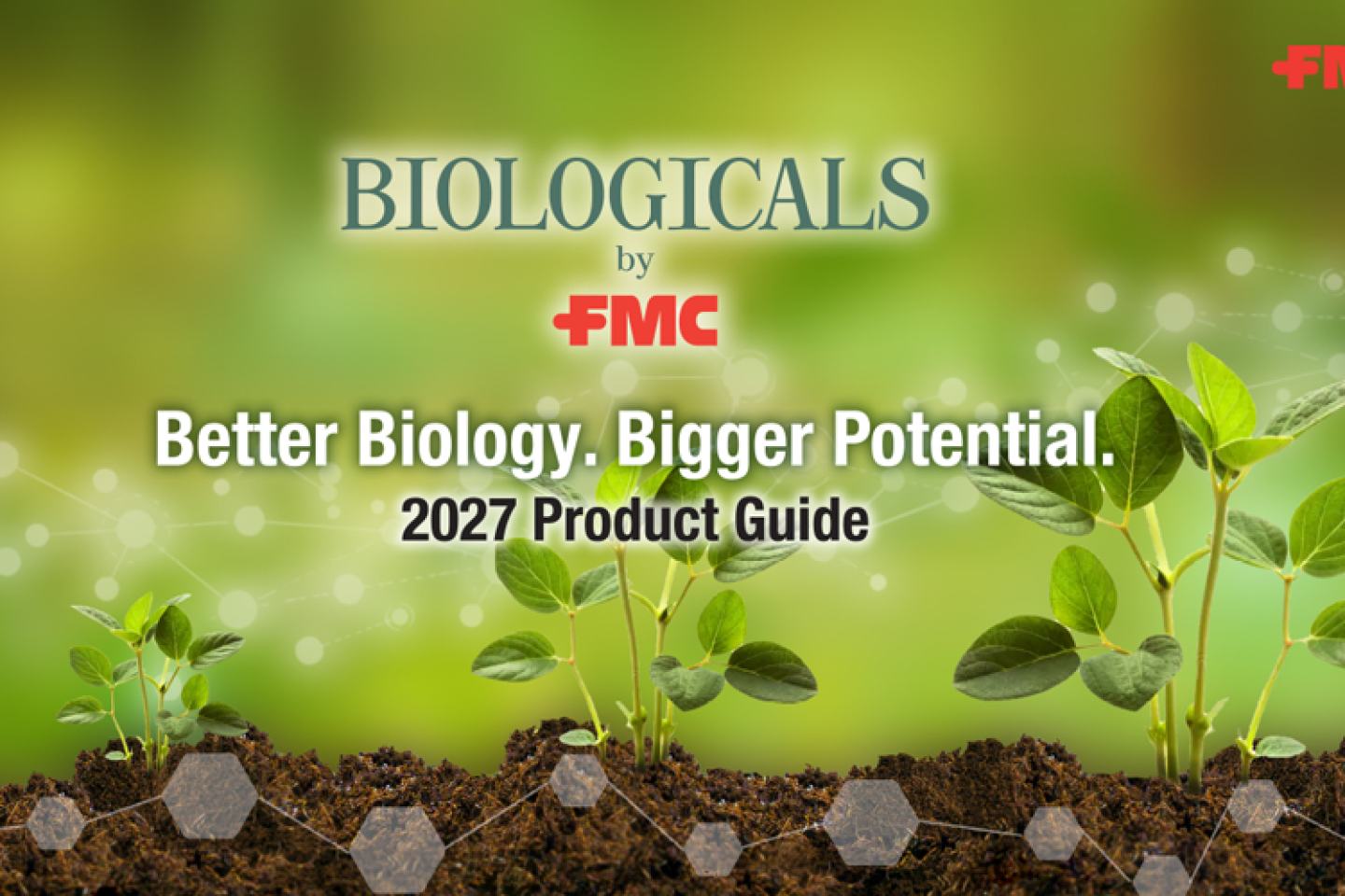 Three healthy growing plants