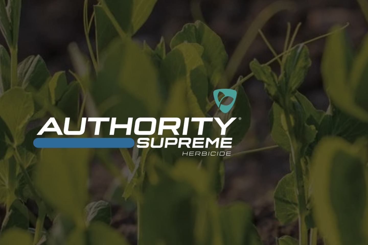Authority Supreme