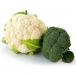 Brassica vegetables cauliflower broccoli