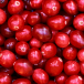 cranberries