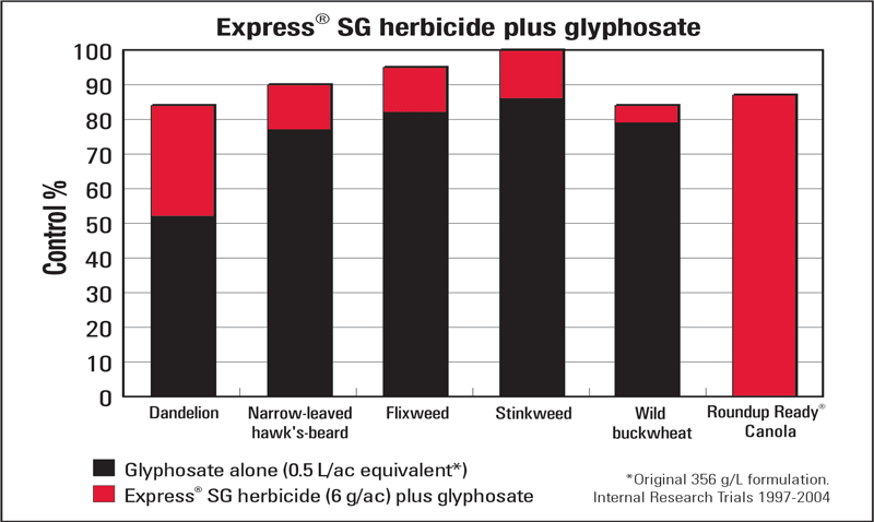 express sg chart