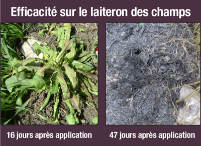 barricade comparision