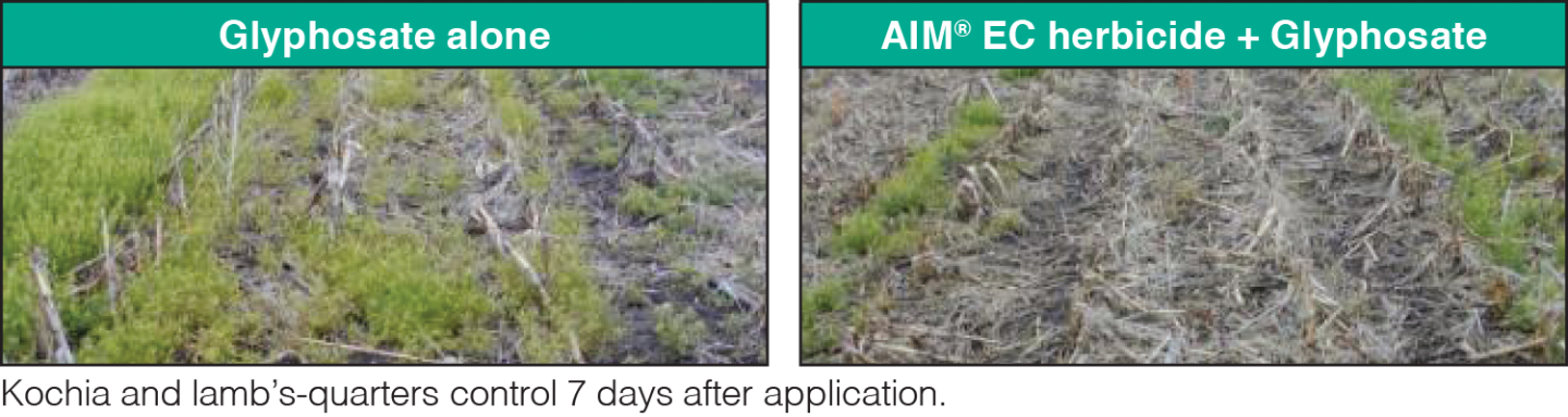 aim comparison 3