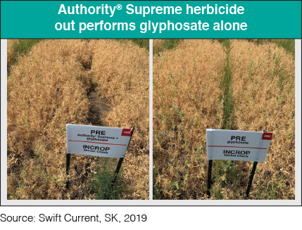 Authority® Supreme herbicide / West