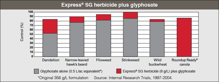 express sg chart