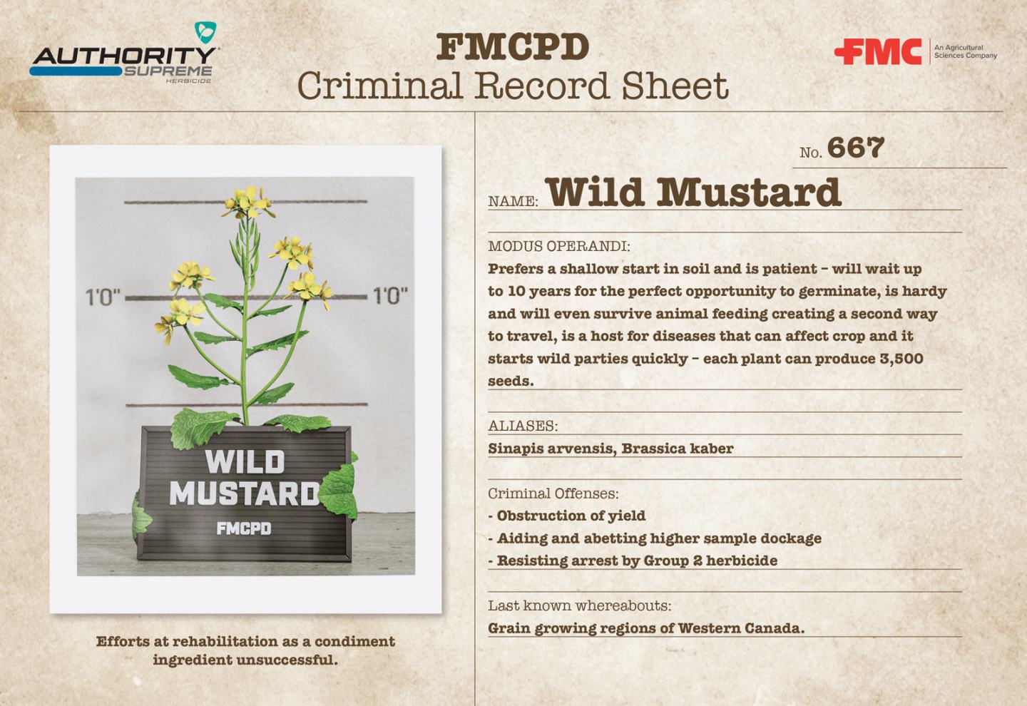 Wild Mustard Authority Supreme Rap Sheet FMC Ag CA