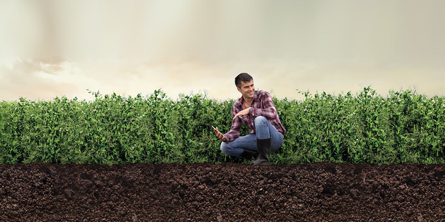Farmer in Field
