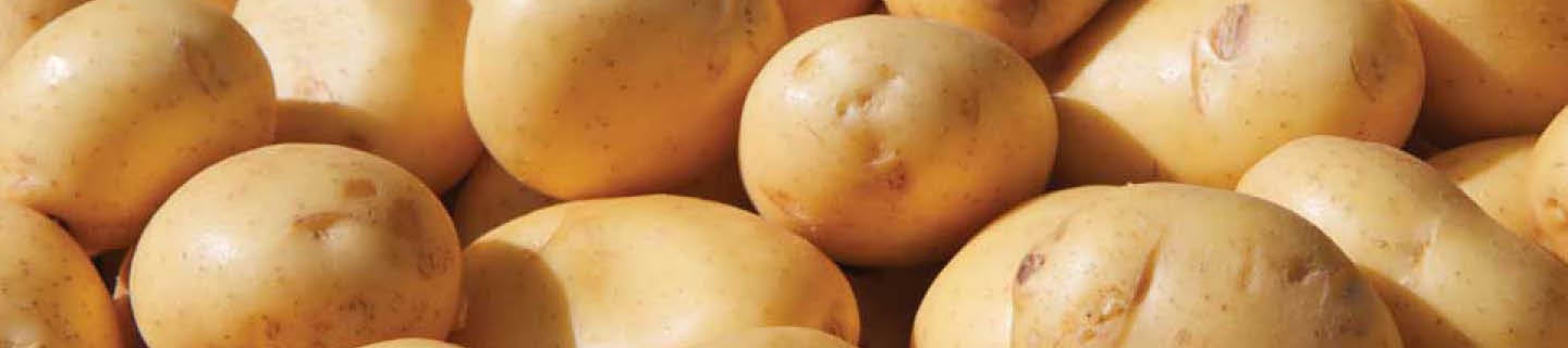 Kartoffeln