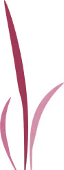 Isoflex grass illustration