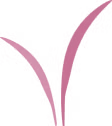 Isoflex grass illustration
