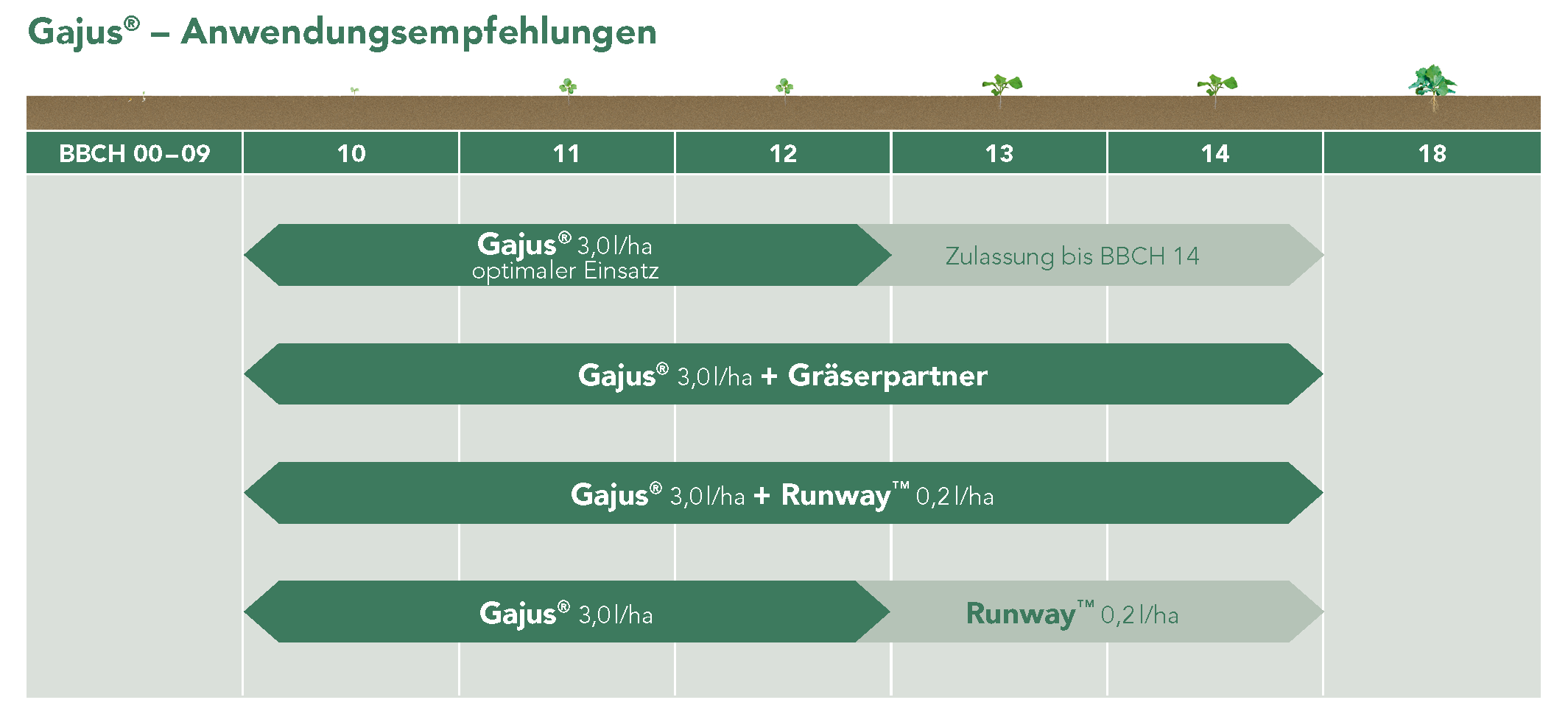 Gajus® – Anwendungsempfehlungen
