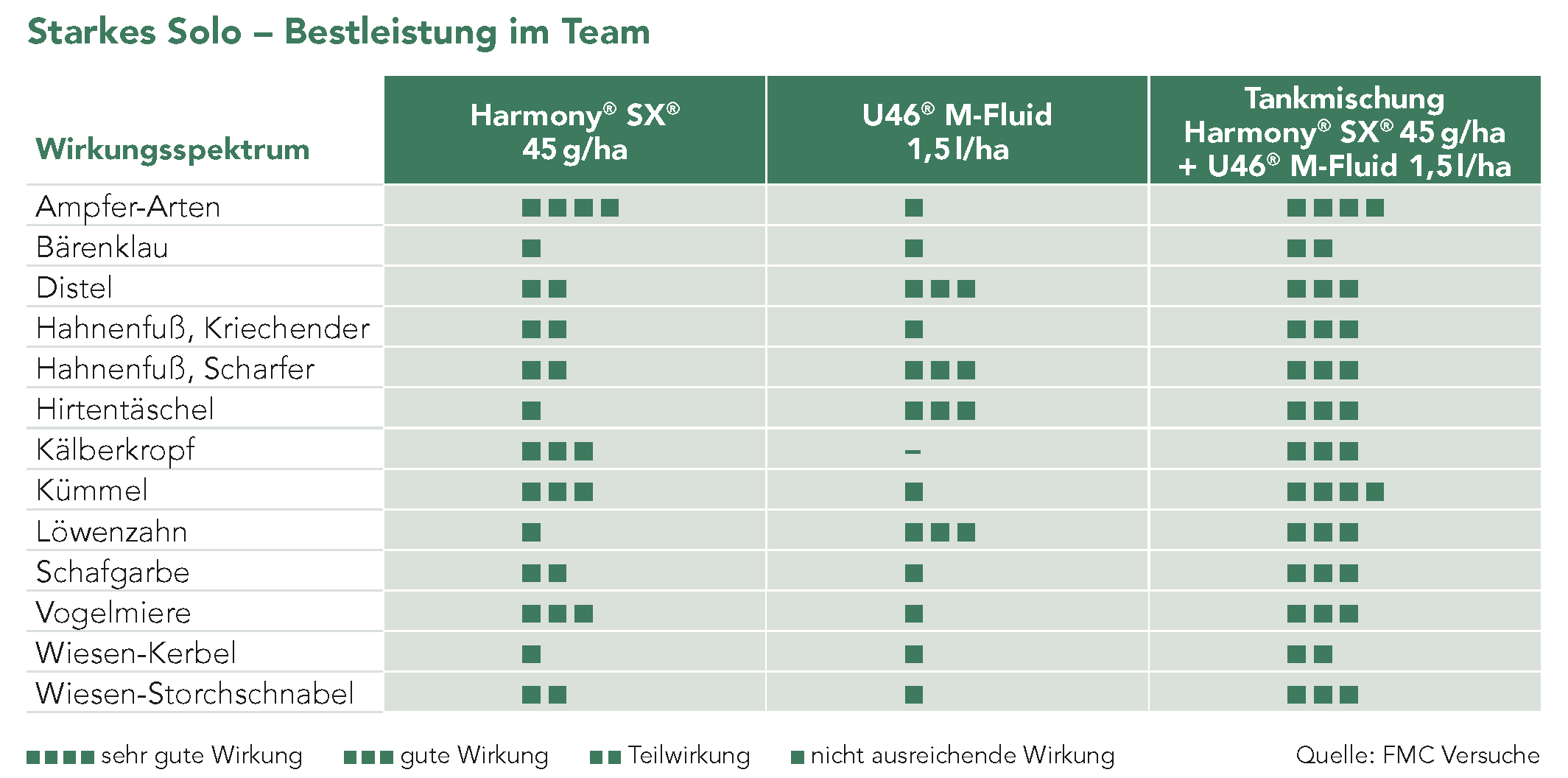 Starkes Solo – Bestleistung im Team