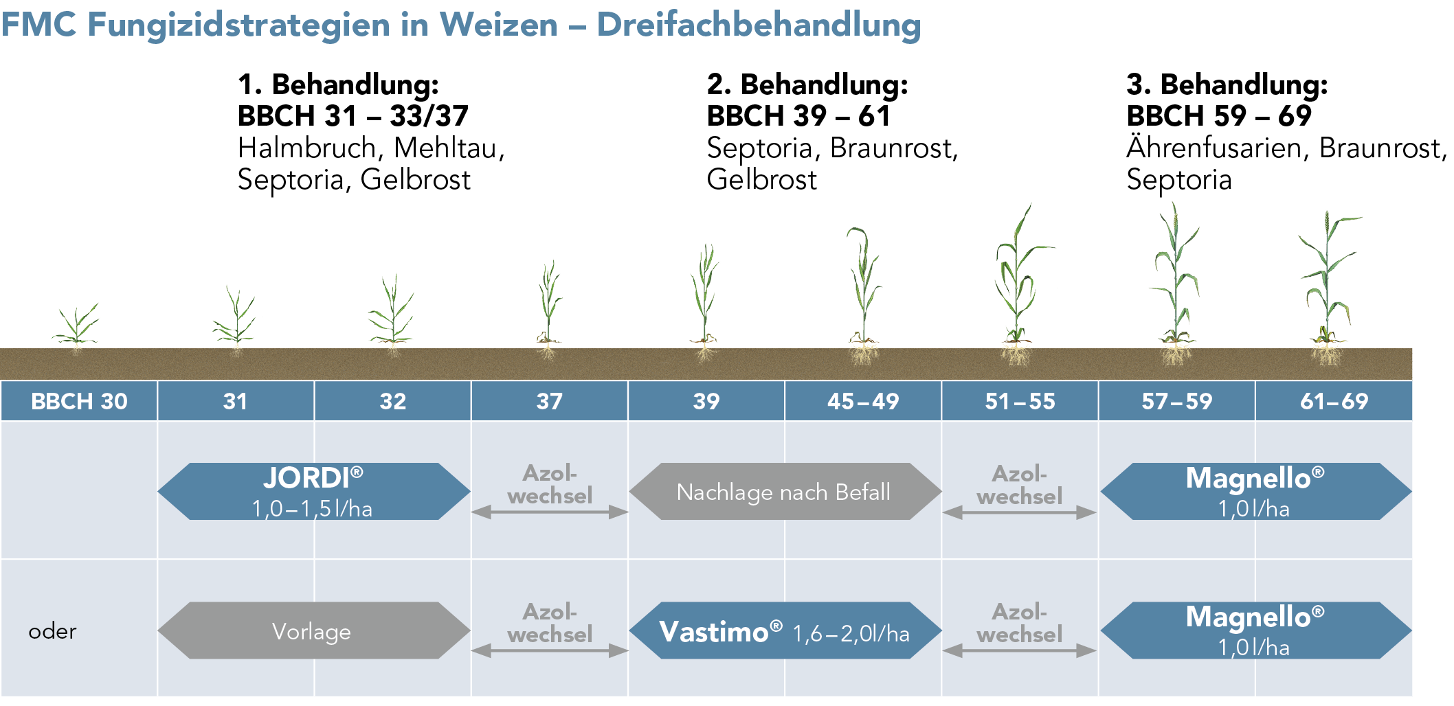 FMC Fungizidstrategien in Weizen – Dreifachbehandlung
