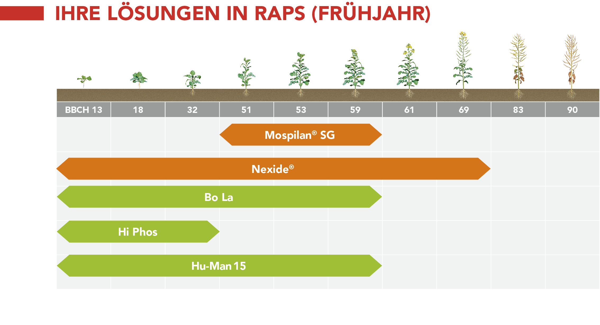 IHRE LÖSUNGEN IN RAPS (FRÜHJAHR)